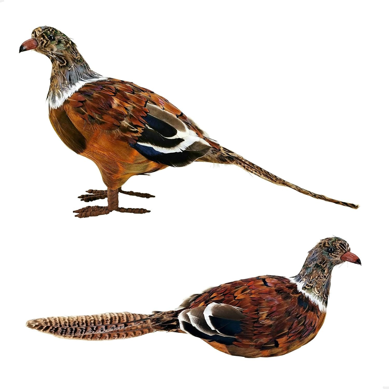 Decorative Feather Pheasants — Set of 2